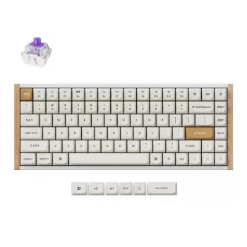 Belaidė mechaninė klaviatūra Keychron K2 Special Edition White RGB apšviesta, kompaktiškas 75% išdėstymas