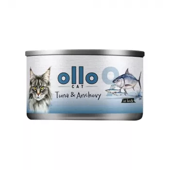 Ollo Tuno su ančiuviais sultinyje Nr. 9 70 g