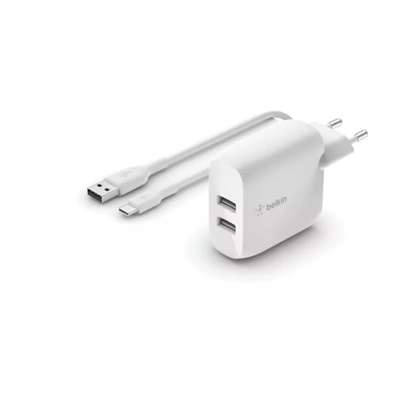 Mobiliojo įrenginio įkroviklis Belkin WCE001VF1MWH