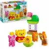 LEGO DUPLO 10457 Vini Pūko gimtadienio vakarėlis
