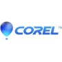 Corel PaintShop Pro 2023 - Dėžutėje - 1 vartotojas (Mini dėžutė) - Win - Daugiakalbė - Europa