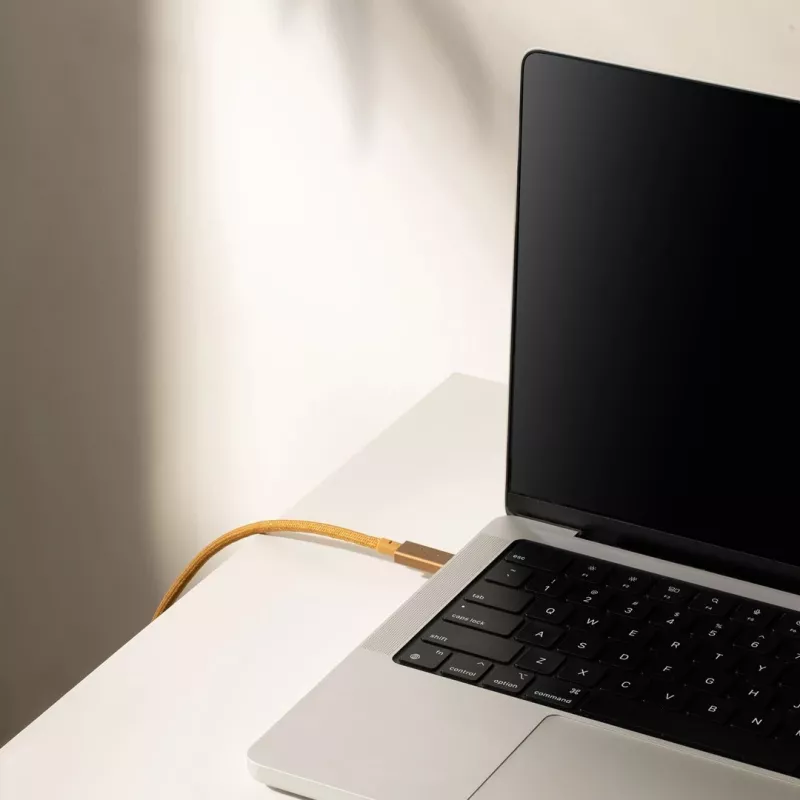 Laidas USB-C į USB-C Native Union Belt kabelis Pro 240W, 2,4 m, USB 2.0, 0,48 Gbit/s, Žalias