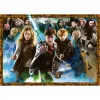 Dėlionė Ravensburger The Sorcerer's Apprentice Haris Poteris 1000 vnt.