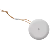 Bang & Olufsen Beosound A1 2nd Gen - 1,52 cm (0,6 colio) - 8,89 cm (3,5 colio) - 55 - 20000 Hz - Belaidis - USB Type-C - Pilka (1734001)