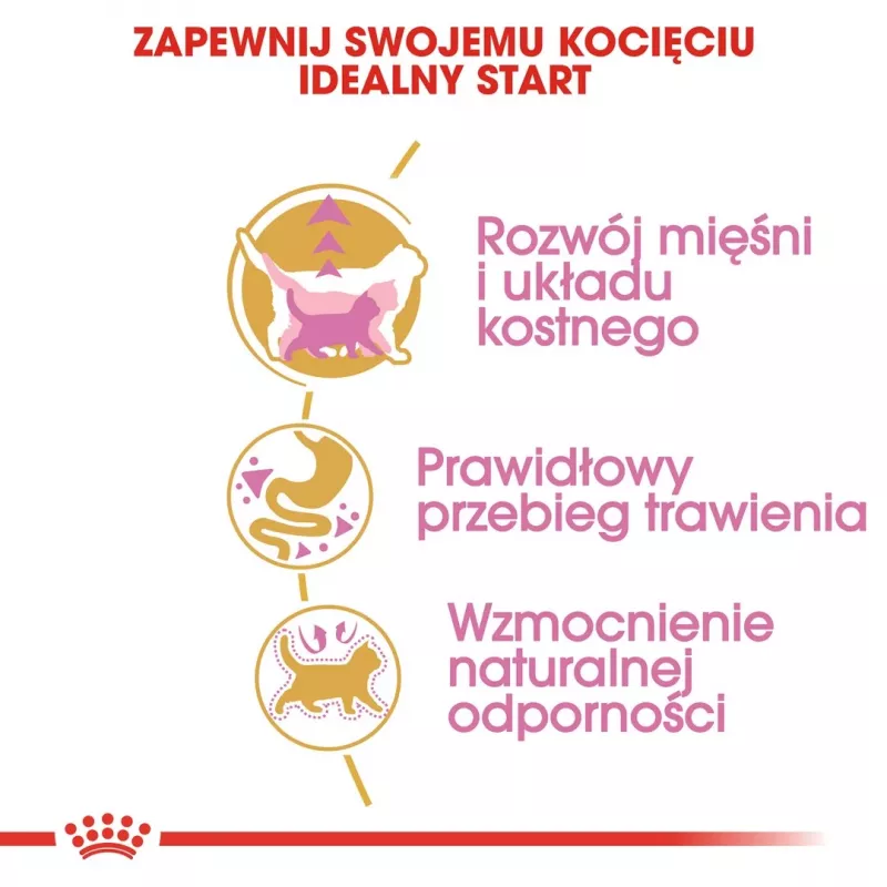 Sausas kačių maistas Royal Canin British Shorthair Kitten 2 kg – vištiena, 38% baltymų, 20% riebalų, augimo formulė