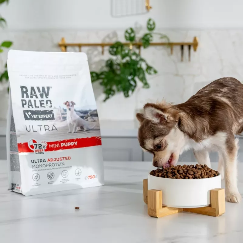 Sausas šunų maistas VETEXPERT RAW PALEO Ultra Mini Puppy Beef 2 kg — sausas trupininis maistas mažų veislių šuniukams, 30,5 % baltymų, 16,5 % riebalų