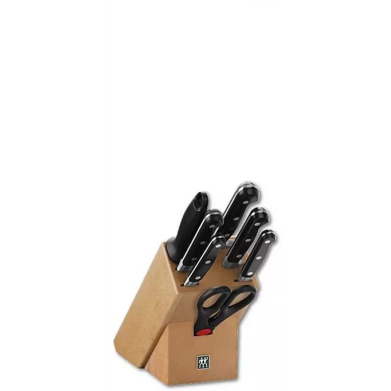 Peilių rinkinys bloke Zwilling Professional S