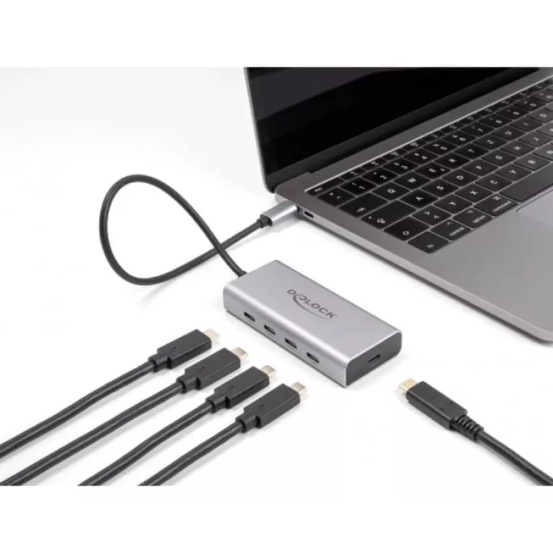 DeLOCK USB šakotuvas 10 Gbps Type-C 4 prievadai PD 85W 30cm laidas