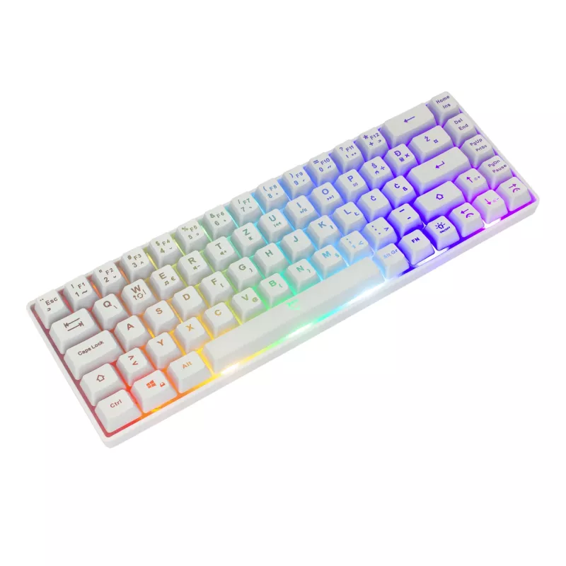 Klaviatūra White Shark RONIN balta USB QWERTY 68 klavišai LED