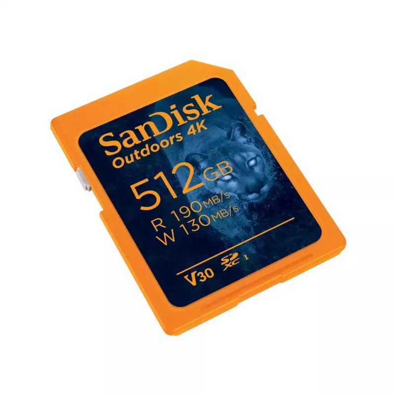 „Flash“ atmintis SanDisk 32GB SDHC Class 10 SDSDXW2-064G-GNCIN