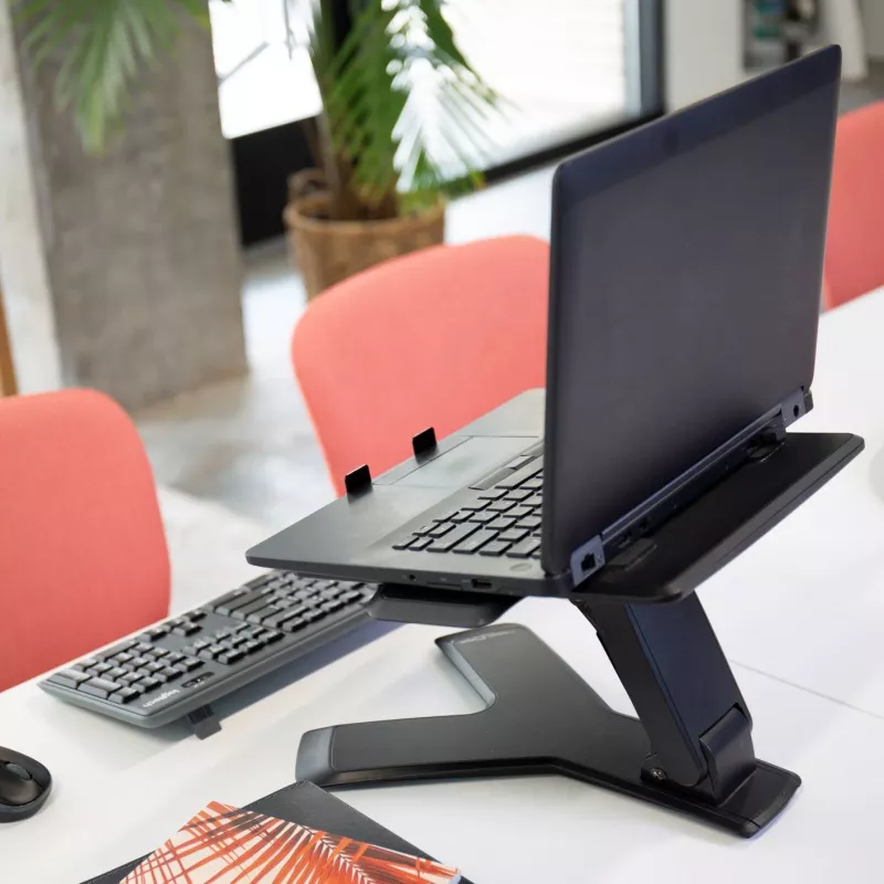 Nešiojamojo kompiuterio stovas Ergotron Neo-Flex™ Notebook Lift Stand juodas