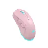 Pelė Baracuda BGM-124 Turtle Pink TURTLE-P