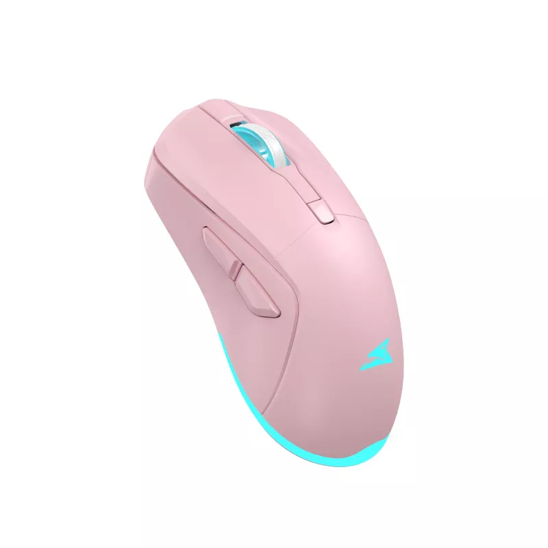 Pelė Baracuda BGM-124 Turtle Pink TURTLE-P