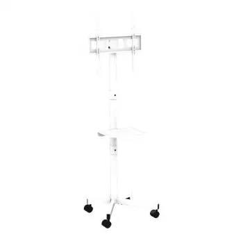 „Gembird“ ant grindų statomas televizoriaus stovas su ratukais, skirtas 32–55 colių įstrižainei, baltas, VESA 100x100–400x400, 30 kg