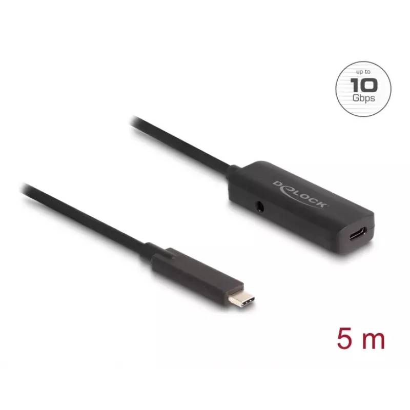 USB laidas DeLOCK 80028 5m USB C juodas