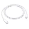 Apple USB-C į Lightning kabelis (1 m)