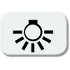 BJ - Reflex SI - Tastersymbol Licht *alpinweiss* (2525LI-214)