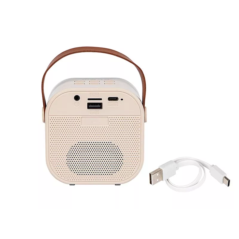 Karaoke garsiakalbis, KARAOKE RGB Bluetooth garsiakalbis, 30W