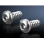 Varžtų rinkinys Rittal 2486.600 — šešiabriauniai varžtai skardai, Ø 5,5 mm, sriegio ilgis 13 mm, 300 vnt.