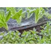 Purškimo antgalis Gardena 13321-20, tinkamas lašelinei laistymo sistemai