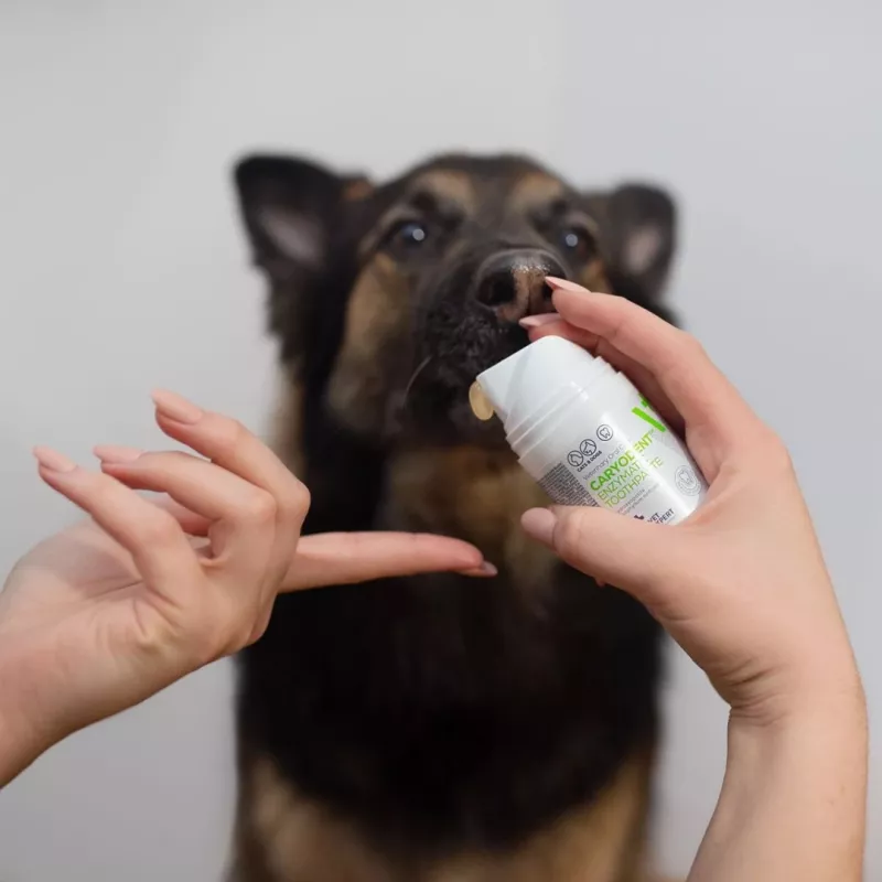 Šunų dantų pasta VETEXPERT Caryodent Enzymatic 50 ml — veterinarinė burnos priežiūra, 50 g, be cukraus, be glitimo