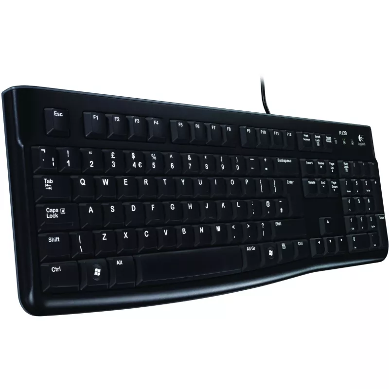 Logitech Desktop MK120 Combo, juoda, laidinė, šveicariška, 920-002504