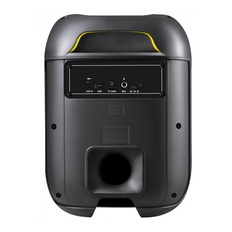 “Bluetooth” garsiakalbis Boome R 65W
