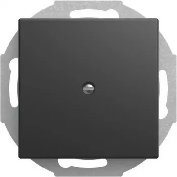Busch-jaeger 2CKA001710A4256 tinklo įrenginys