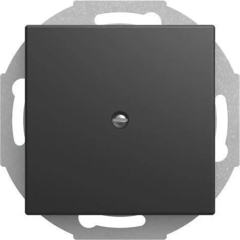 Busch-jaeger 2CKA001710A4256 tinklo įrenginys