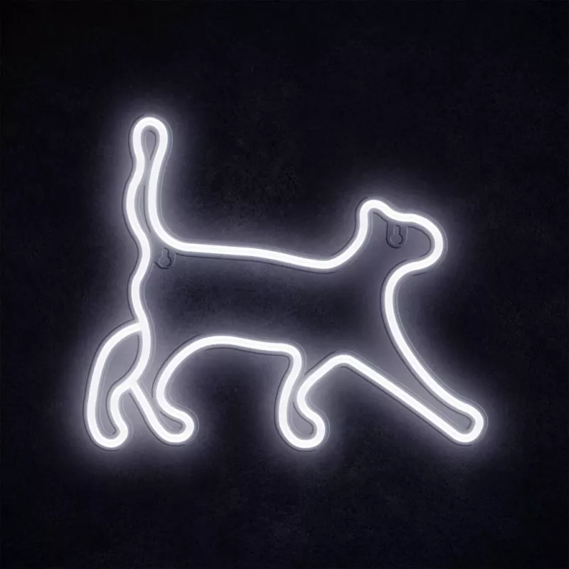 Neoninio stiliaus dekoratyvinė šviesa MANTA SNL70WH Style Neon Lights CAT 2 Balta 70 cm