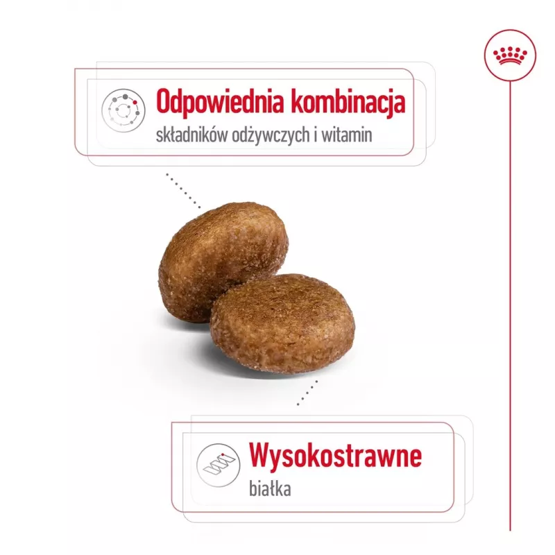 Sausas šunų maistas Royal Canin Maxi Adult 5+ 15 kg — vištiena, baltymų 26%, riebalų 17%