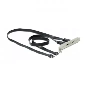DeLOCK 89935 lizdo laikiklis su 2 USB Type-C prievadais