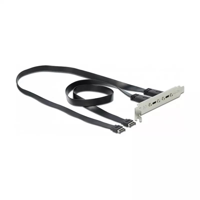 DeLOCK 89935 lizdo laikiklis su 2 USB Type-C prievadais