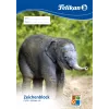 Meno popieriaus bloknotas Pelikan 224840