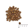 Sausas šunų maistas VETEXPERT Raw Paleo Healthy Grain Puppy Salmon and Barley 10 kg, baltymai 29% riebalai 17% drėgmė 9%