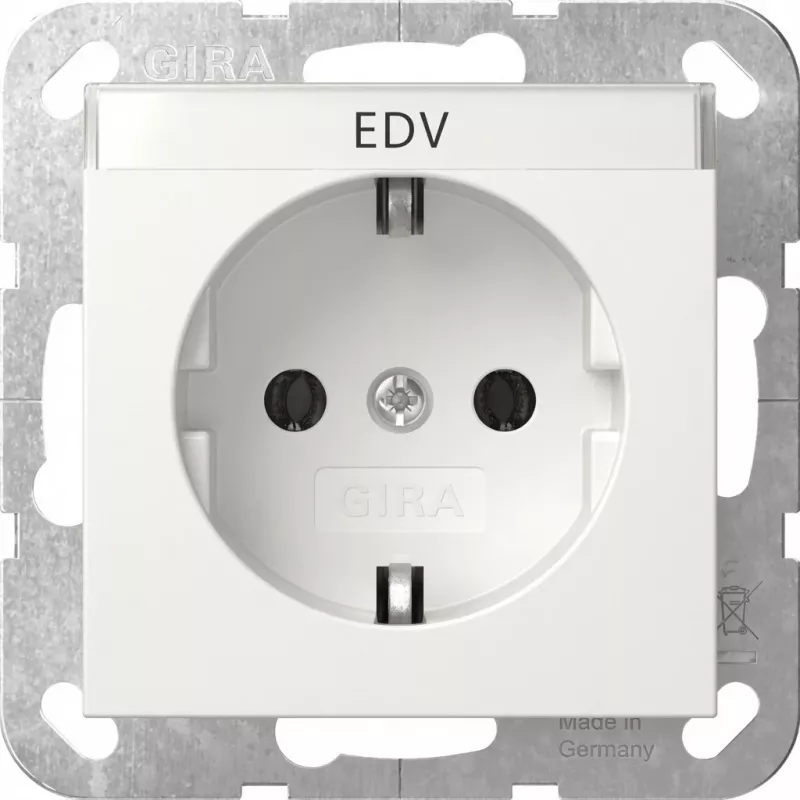 Schuko kištukinis lizdas Gira System 55 Reinwei modelis 445703