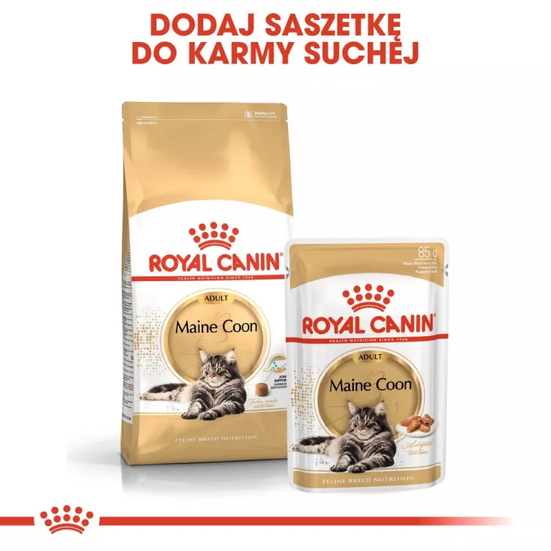 Sausas kačių maistas Royal Canin Maine Coon Adult 10 kg — paukštiena (vištiena), 31% baltymų, 20% riebalų