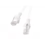 Tinklo komutacinis kabelis LANBERG Cat5e U/UTP 2 m, RJ-45 kištukas–kištukas, vytos gijos 26 AWG, baltas