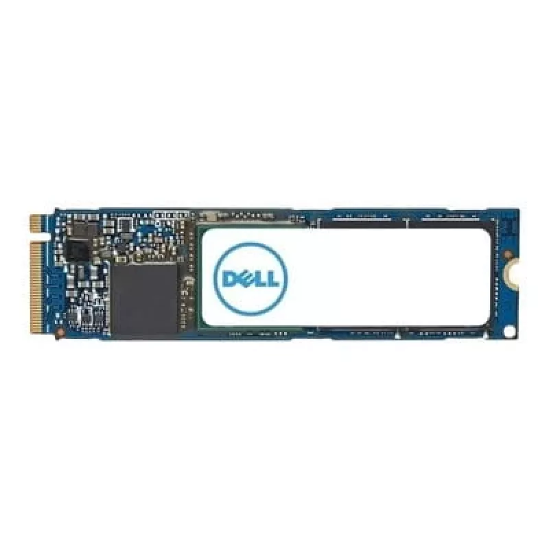 DELL AC037409 vidinis kietojo kūno diskas 1 TB M.2 PCI Express 4.0 NVMe