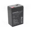 Švino rūgšties akumuliatorinė baterija europower EP4.5-6 6V 4.5Ah
