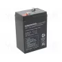 Švino rūgšties akumuliatorinė baterija europower EP4.5-6 6V 4.5Ah