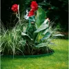 „Gardena 00538-20“ sodo įrankis, žalias