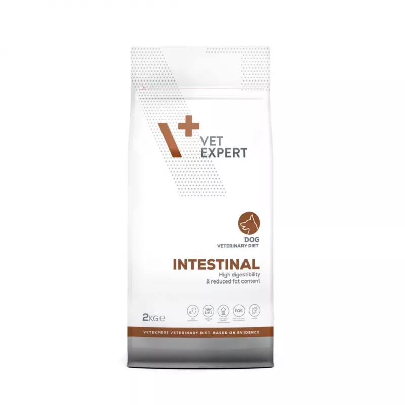 VET EXPERT Veterinary Diet Intestinal Dog - sausas šunų maistas - 2 kg