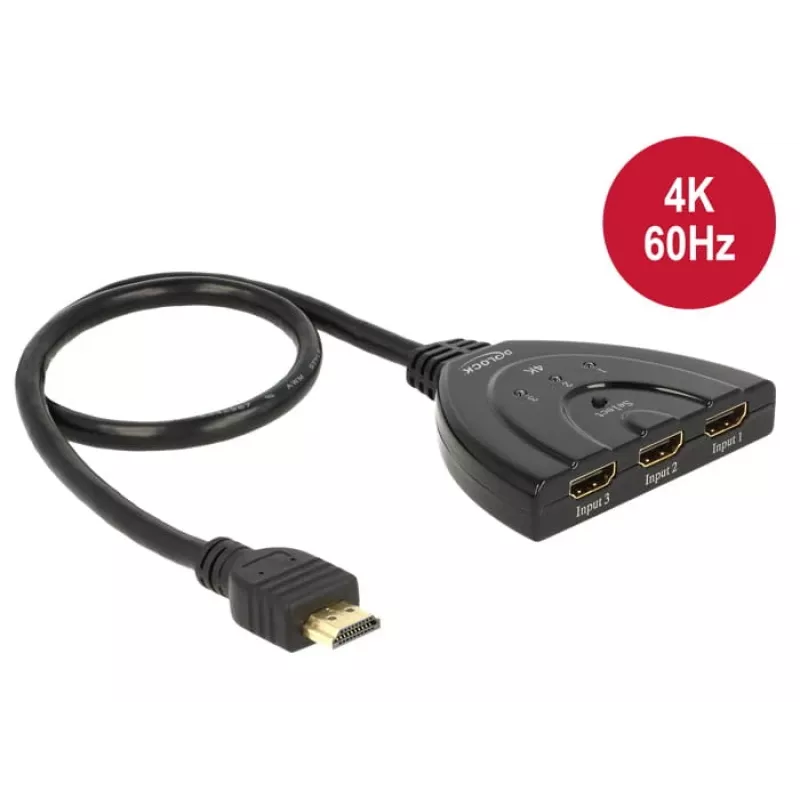 Delock 18600 tinklo įrenginys