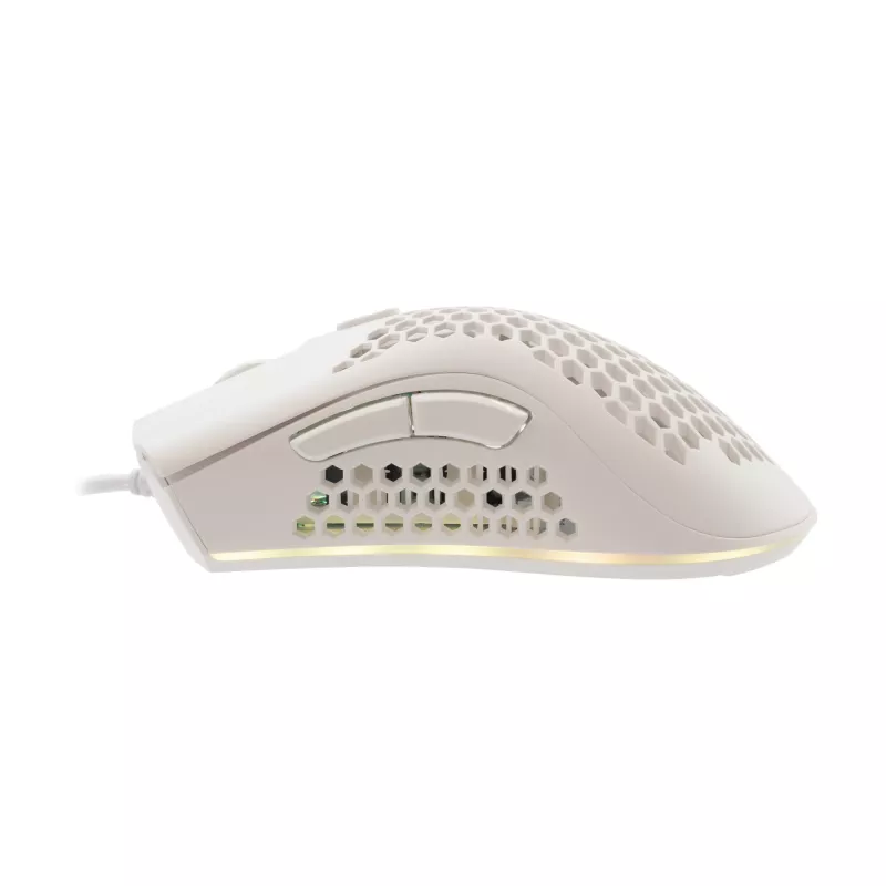 Baracuda BGM-032 Coral Balta