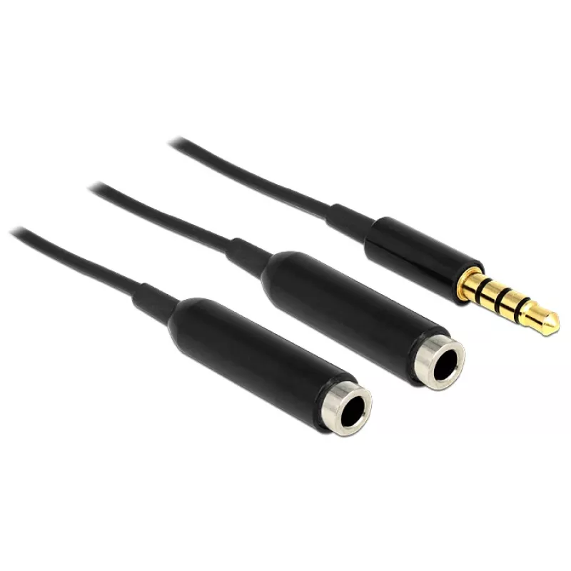 Garso kabelis DeLOCK 65575 0.25m 3.5mm 2 x 3.5mm juodas