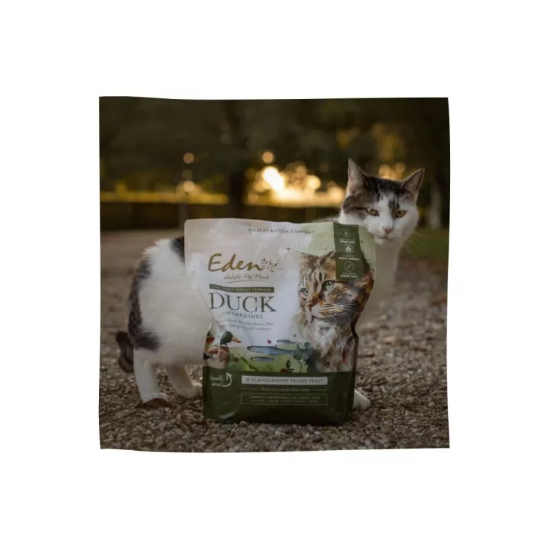 EDEN Antis ir sardinė - sausas kačių ėdalas - 1.5 kg