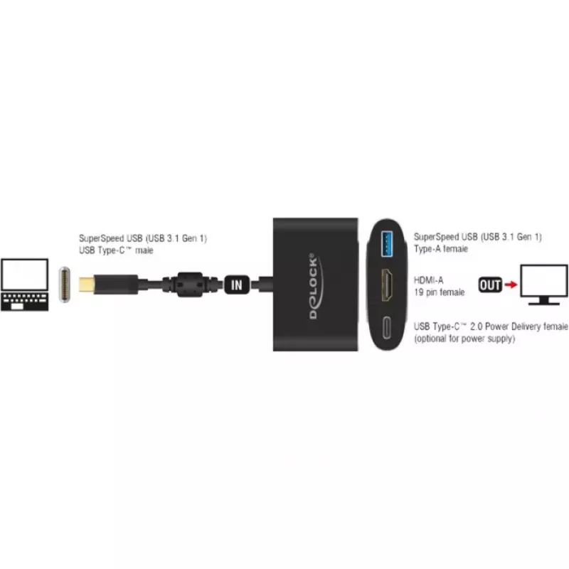 DeLOCK - Išorinis vaizdo adapteris - VL101 - USB-C 3.1 - HDMI - Pilka - mažmeninė prekyba (62991)