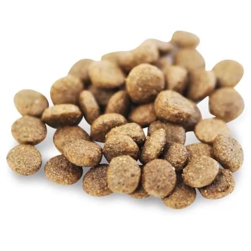 Sausas šunų maistas FISH4DOGS Superior Senior S Salmon — vyresnio amžiaus mažoms veislėms, 1,5 kg, 22% baltymų, 7% riebalų