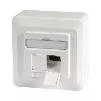 EFB-Elektronik duomenų lizdas Cat.6A 500MHz viršutinis/apatinis, paviršinis montavimas, 2xRJ45, RAL9010 Gamintojas: EFB Elektronik (ET-25133AV5-R)